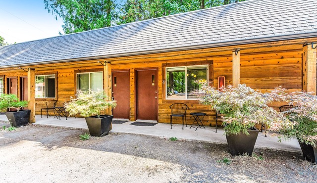 Dog-friendly studio close to hiking with mountain views & fast WiFi