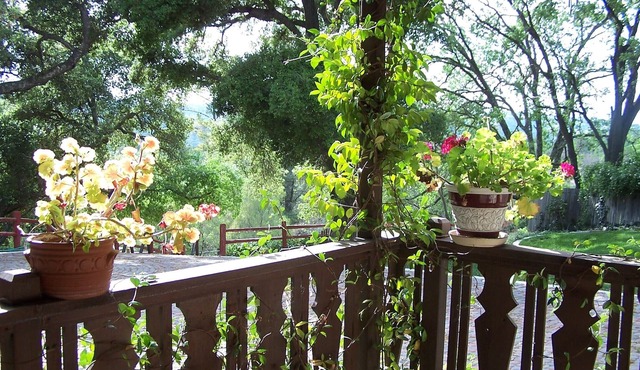 Explore the Central Coast from Portola Inn Guest House
