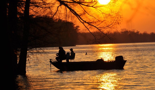 For Larger Groups Up To 24, Right on Reelfoot Lake-Private Dock And Pier.