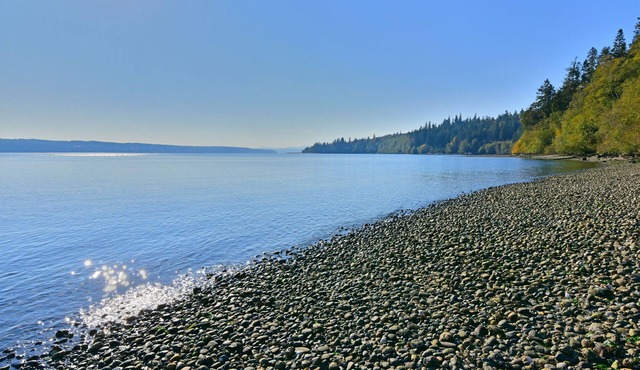 Hood Canal Beachfront Bungalow