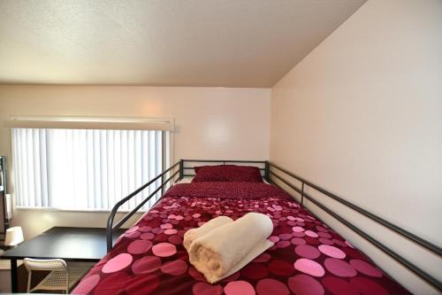 Hostel Style Shared Room in San Francisco