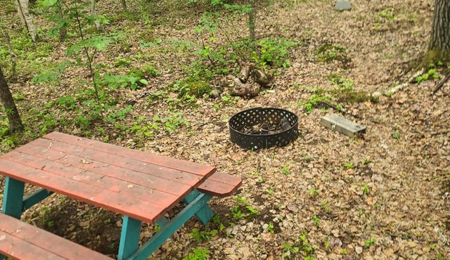 Houston Grass Station Campsite #30