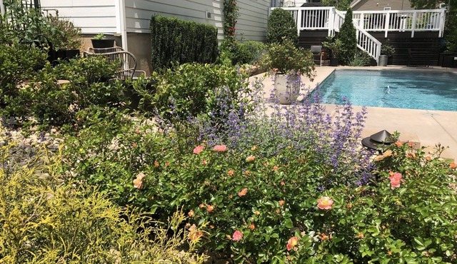 Large family friendly home with private pool