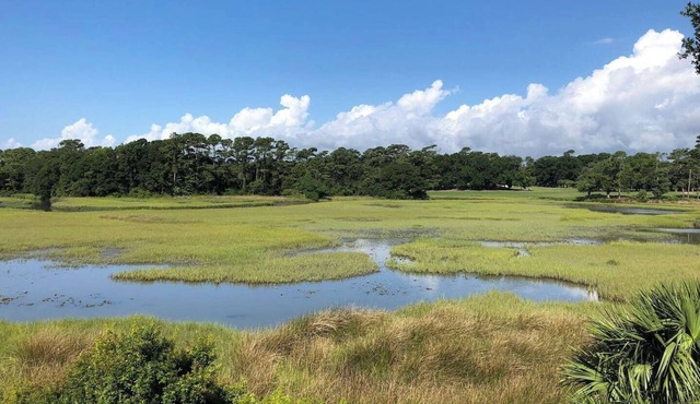 Marshland Beach Paradise