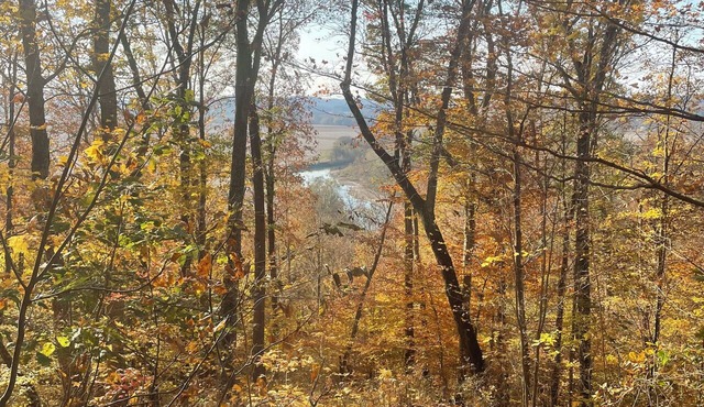 Marvelous 5-bedroom cabin with AC in charming Chillicothe great family fishing