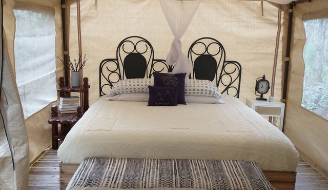 Memorable Forest Stay with Hot Tubs + Beaches nearby
