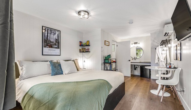 Mountain-view hiker's studio on ground-floor with fast WiFi - dog-friendly