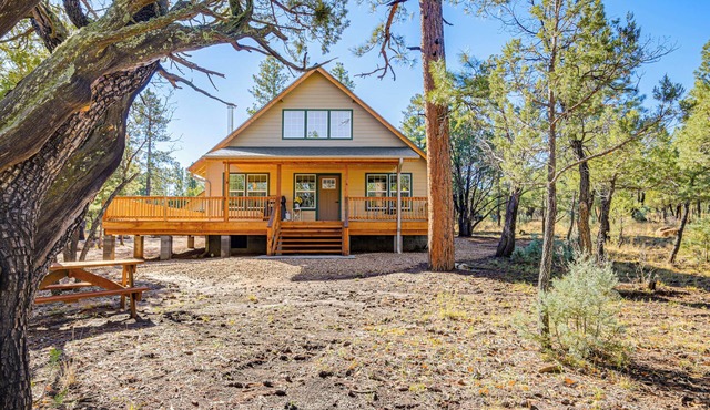 Peaceful Blue Ridge Cabin w/Wraparound Deck!