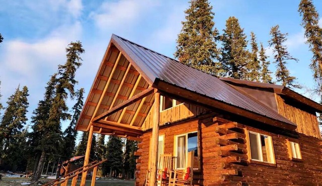Pet Friendly Alaskan Cabin for Mountain Glamping in Wrangell St. Elias National Park and Preserve