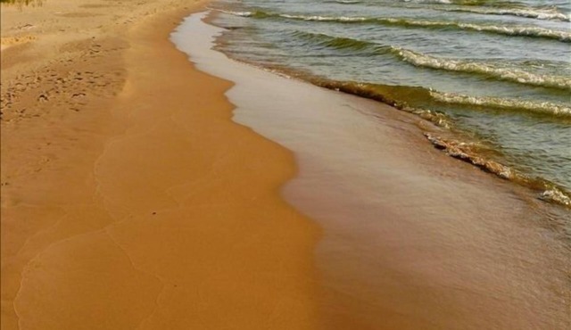 Private and Quiet Lake Michigan Waterfront Cottage on 7 acres