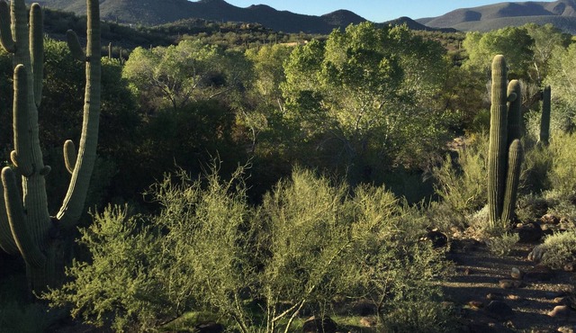 Private Casita in Cave Creek