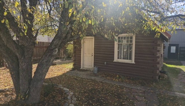 Rustic Cozy Mountain Cabin. Nostalgic with mountain views. 20 Min to Ski Resort in Eagle