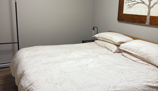 Separate guest suite with private entrance and King Bed