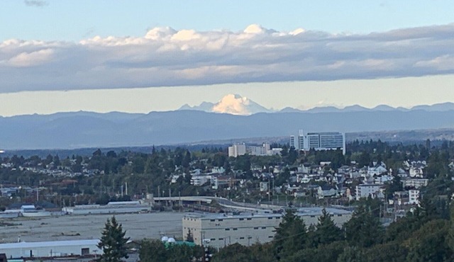 Spacious unit in historic neighborhood with mountain and downtown views in Everett