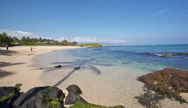 Suite on North Shore property. Walk to beach & town!