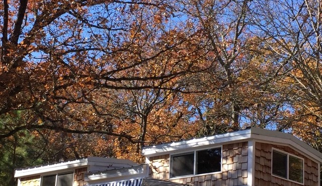 TINY HOUSE experience on the Cedar Creek Lake with lake view. 26mi to Canton!