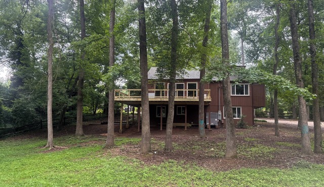 TREEHOUSE NOW AVAILABLE! A 5-bedroom, 2 driveways, 1.2 acres. 807 Brunson Drive