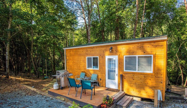 Unique Tiny Cabin at Farmstead | Lake Lure 2 miles