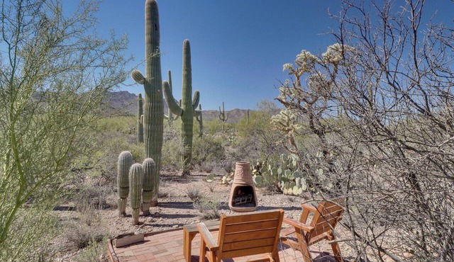 Unwind Poolside, Scenic Sonoran Desert Retreat!