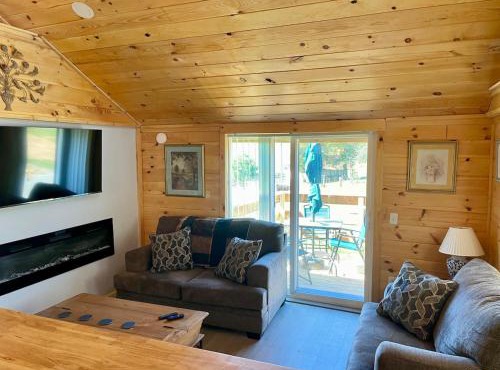 Willow Tree cabin
