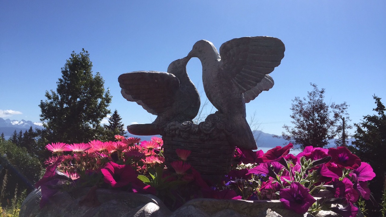 Photo of Others in Homer