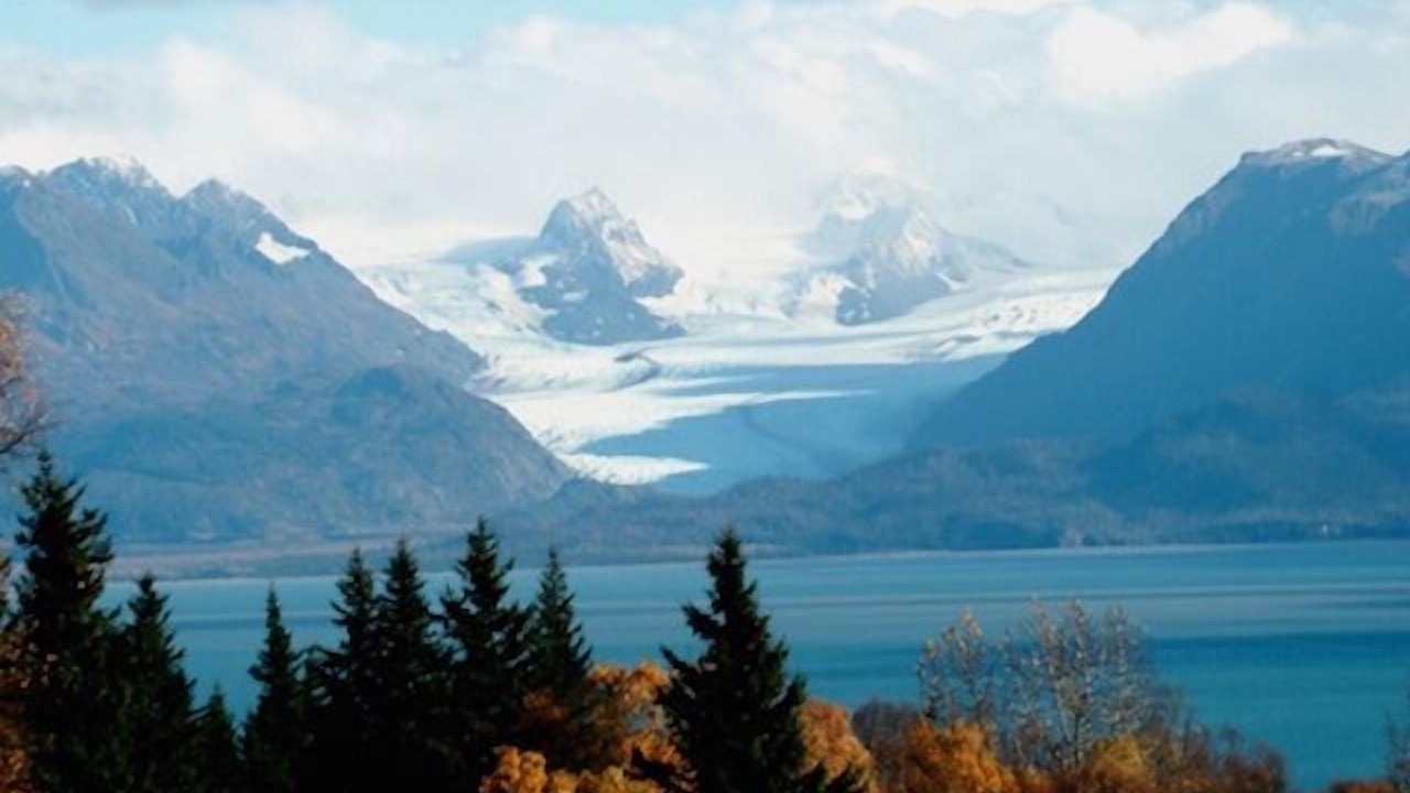 Photo of Others in Homer