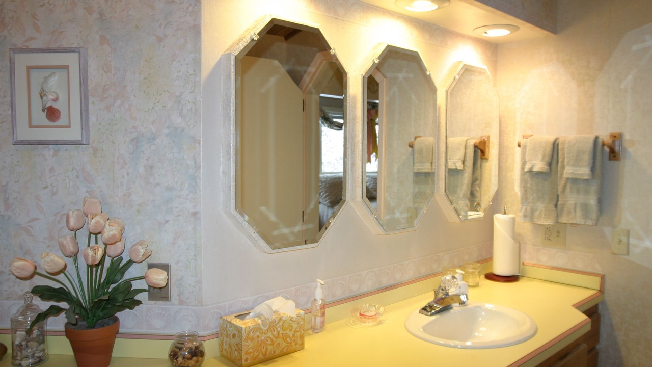 Photo of Others in Homer