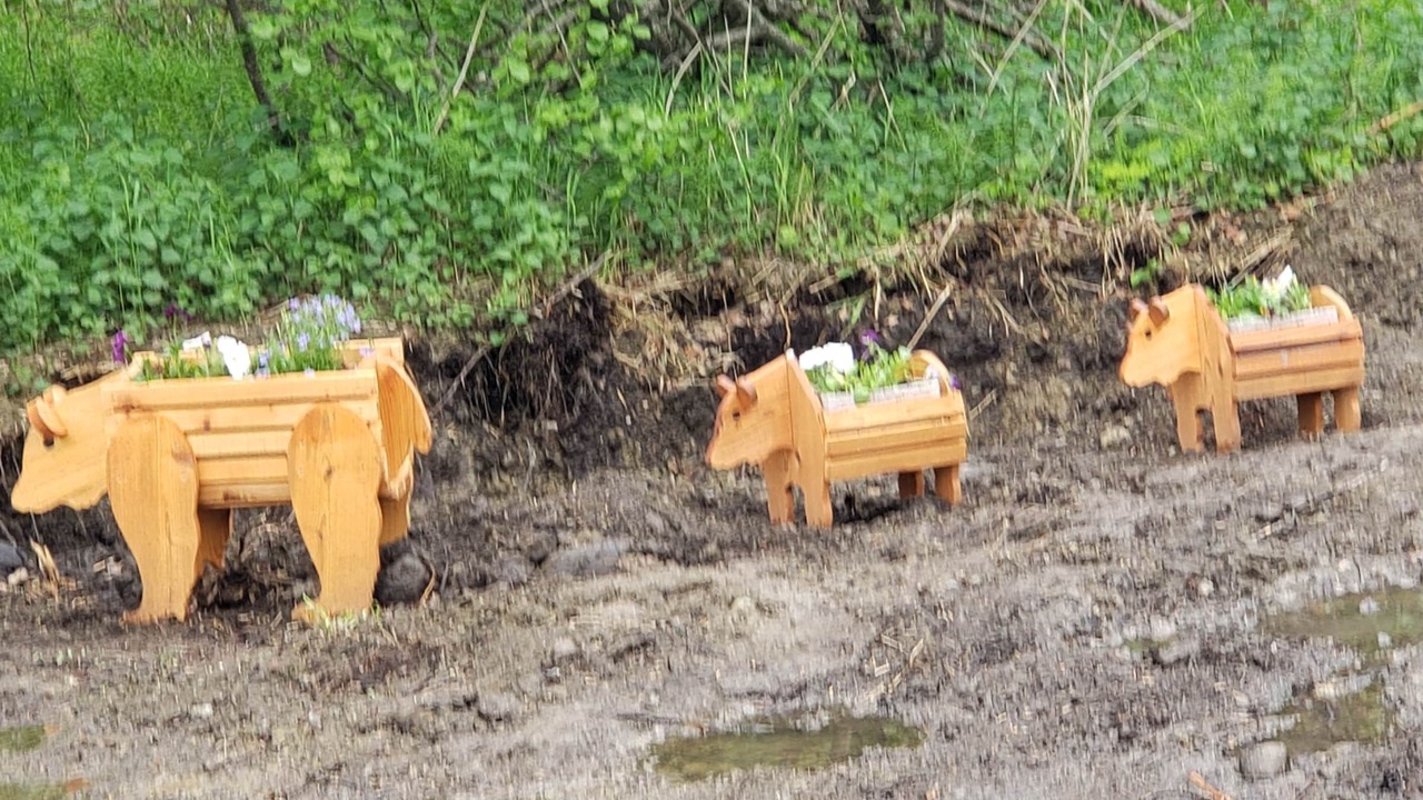 Photo of Others in Palmer