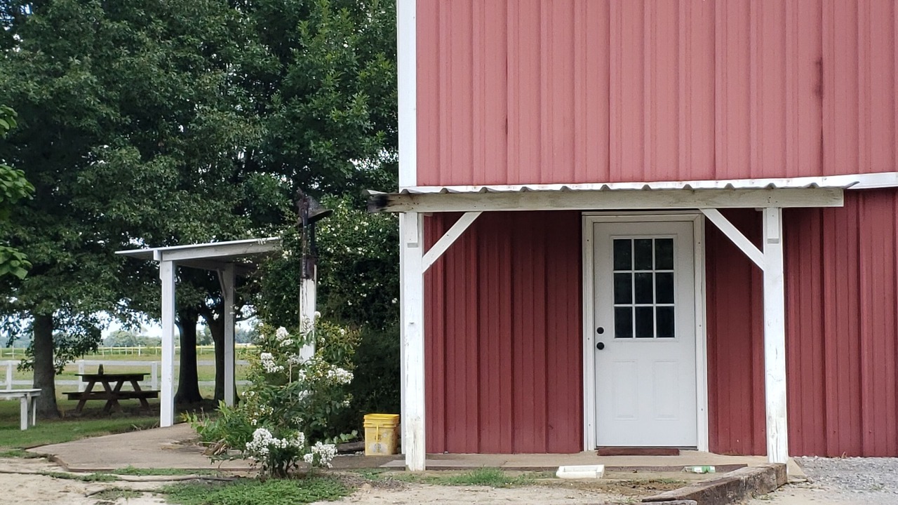 Photo of Outdoor in Mattson