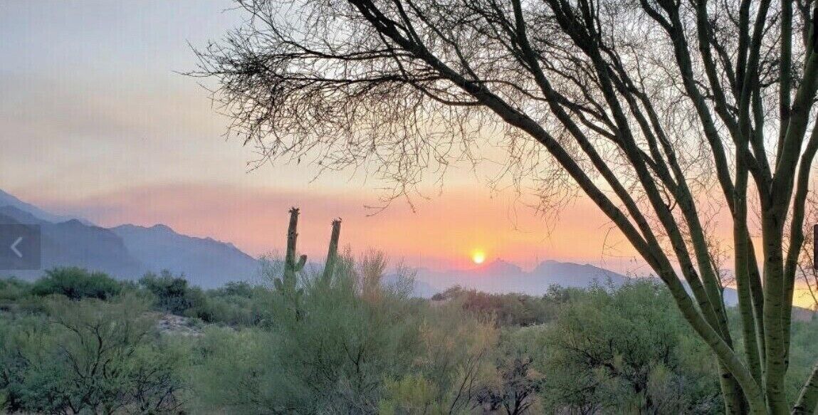 Photo of Others in Tucson